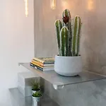 Super - Silver شقة فونشال